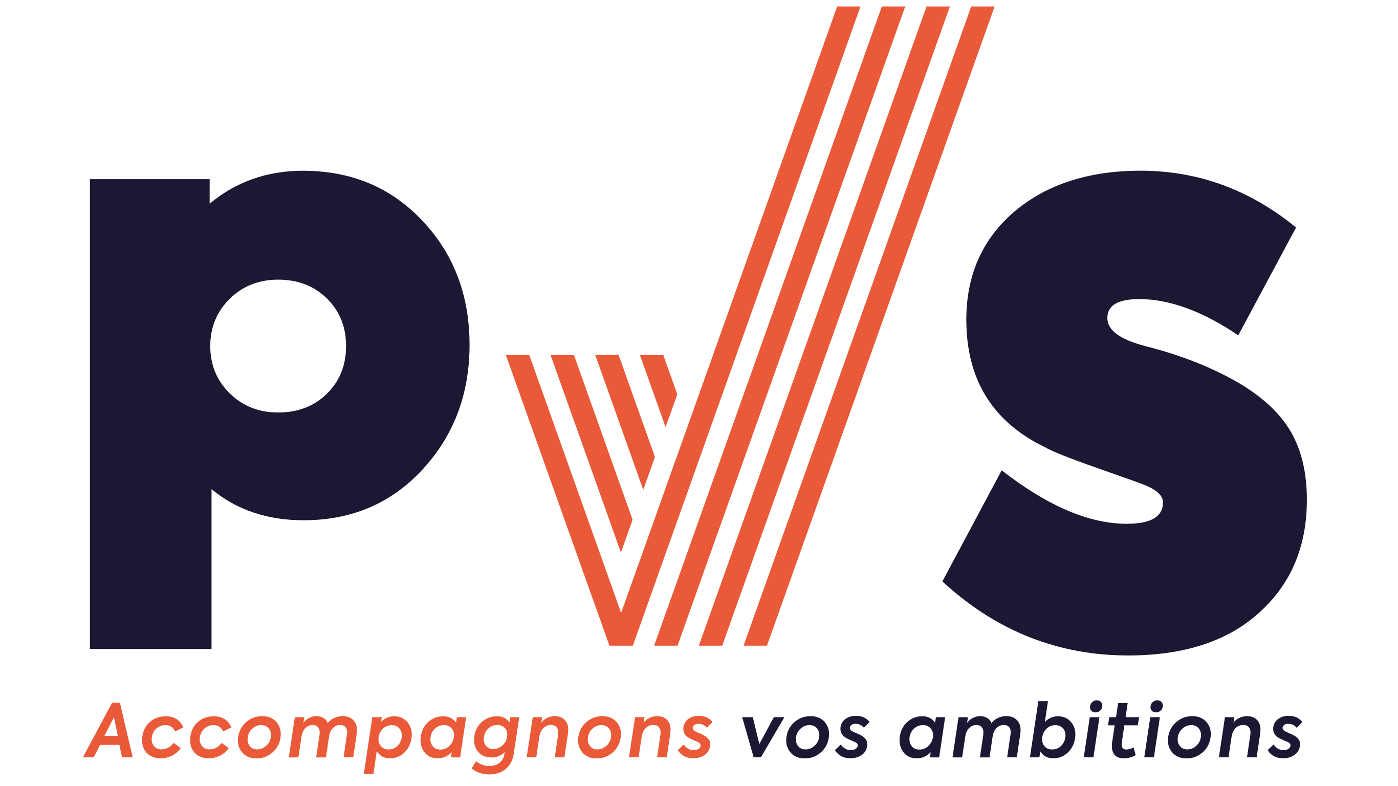 PVS IT Agency